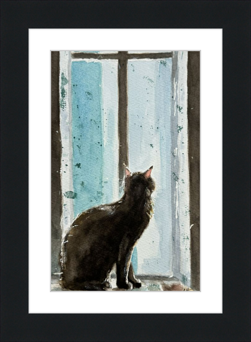 Cat in Blue Window