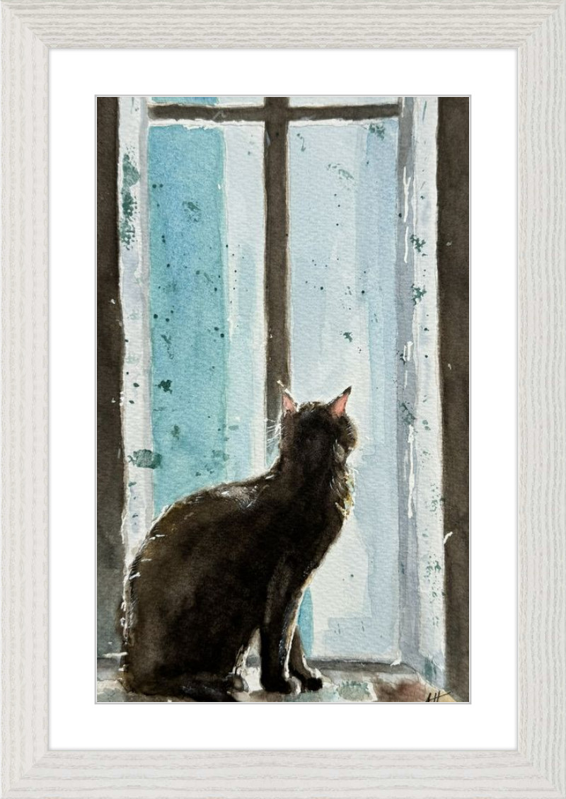 Cat in Blue Window