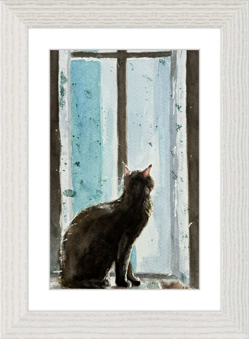 Cat in Blue Window