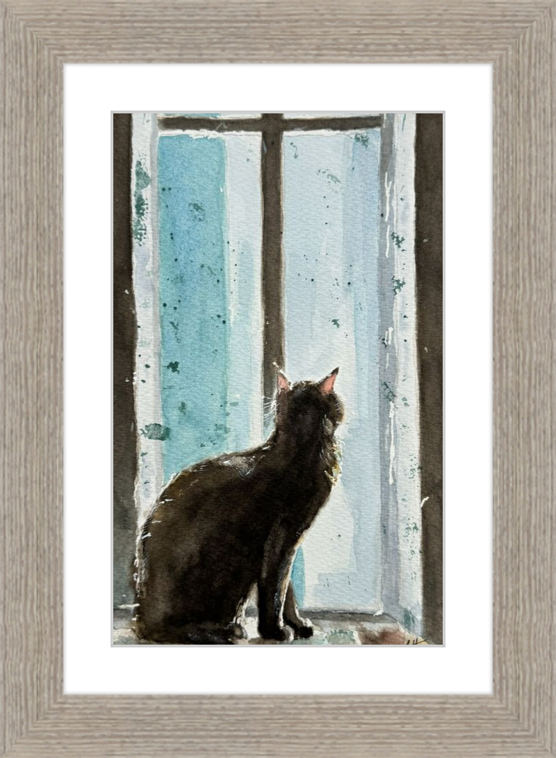 Cat in Blue Window