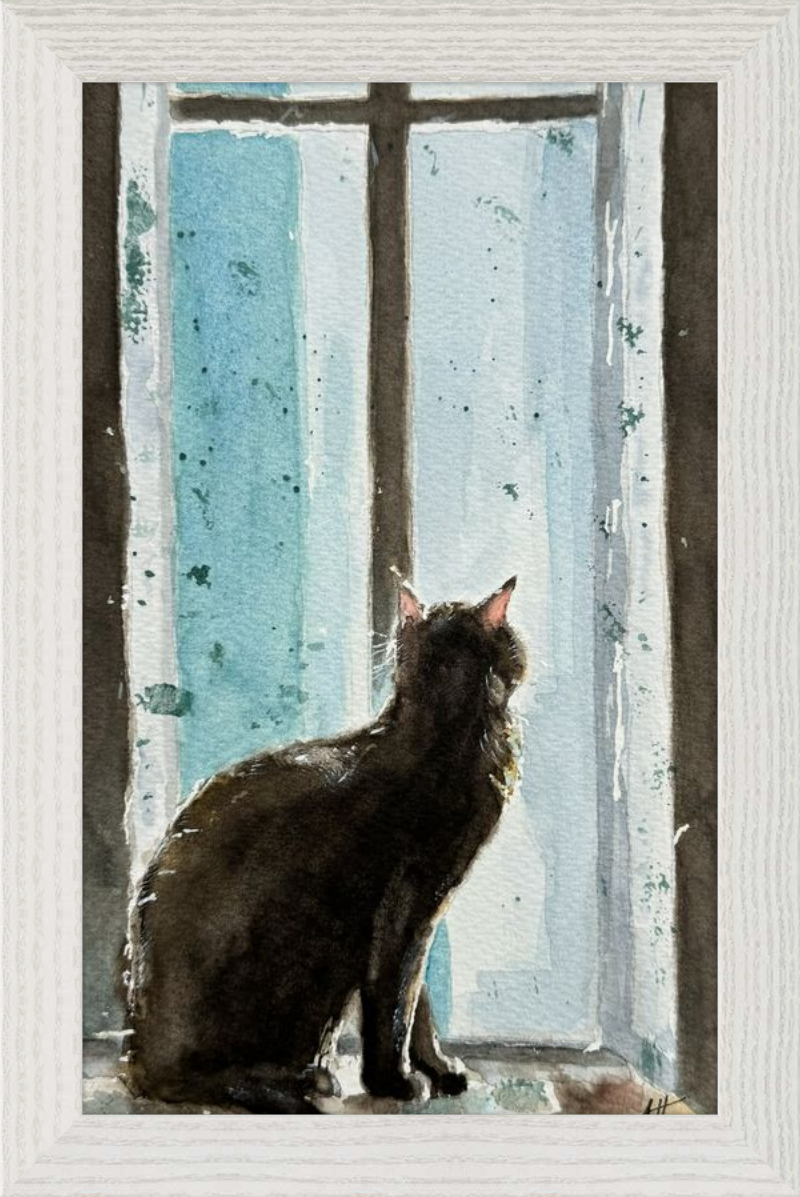 Cat in Blue Window