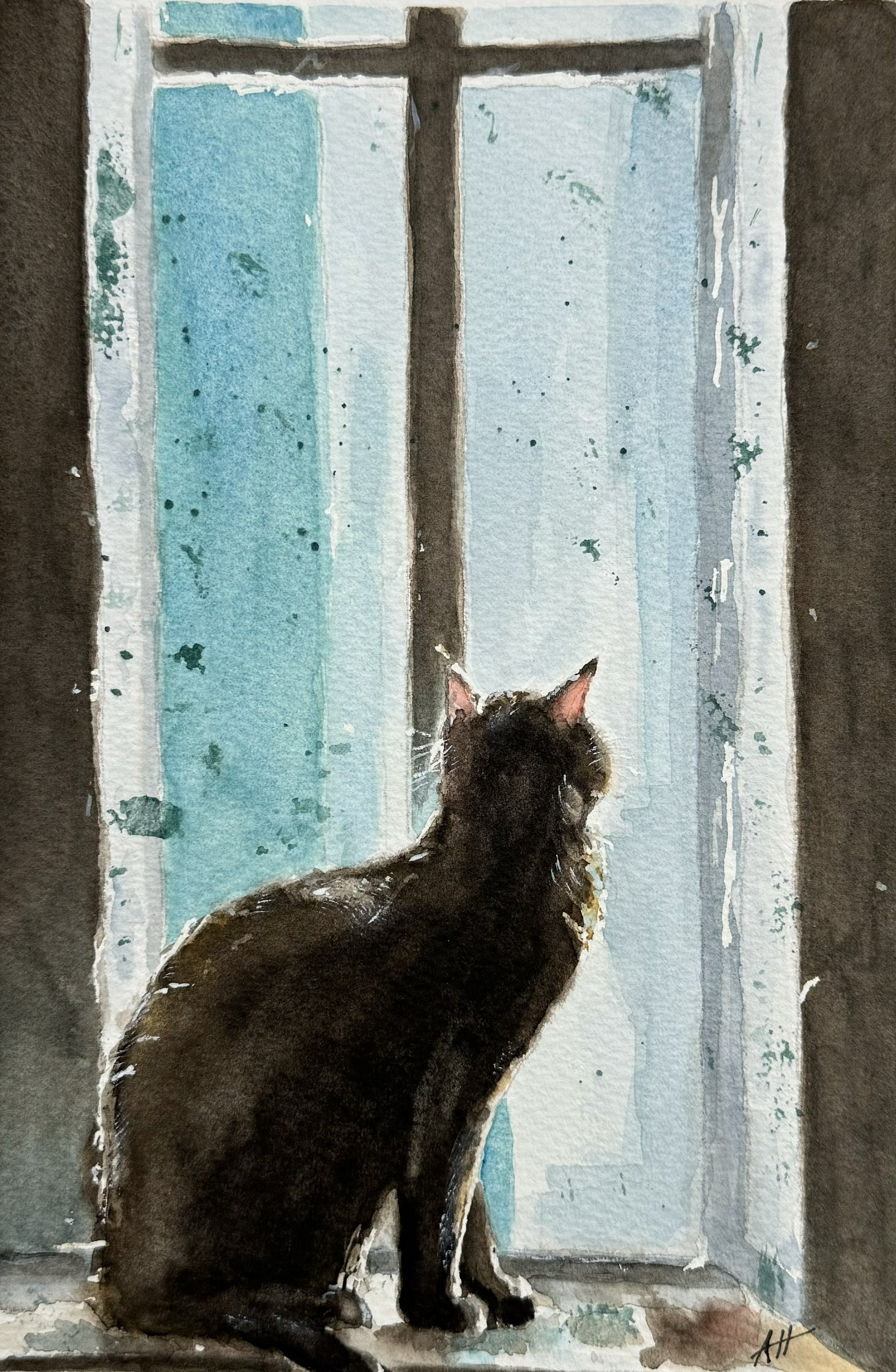 Cat in Blue Window