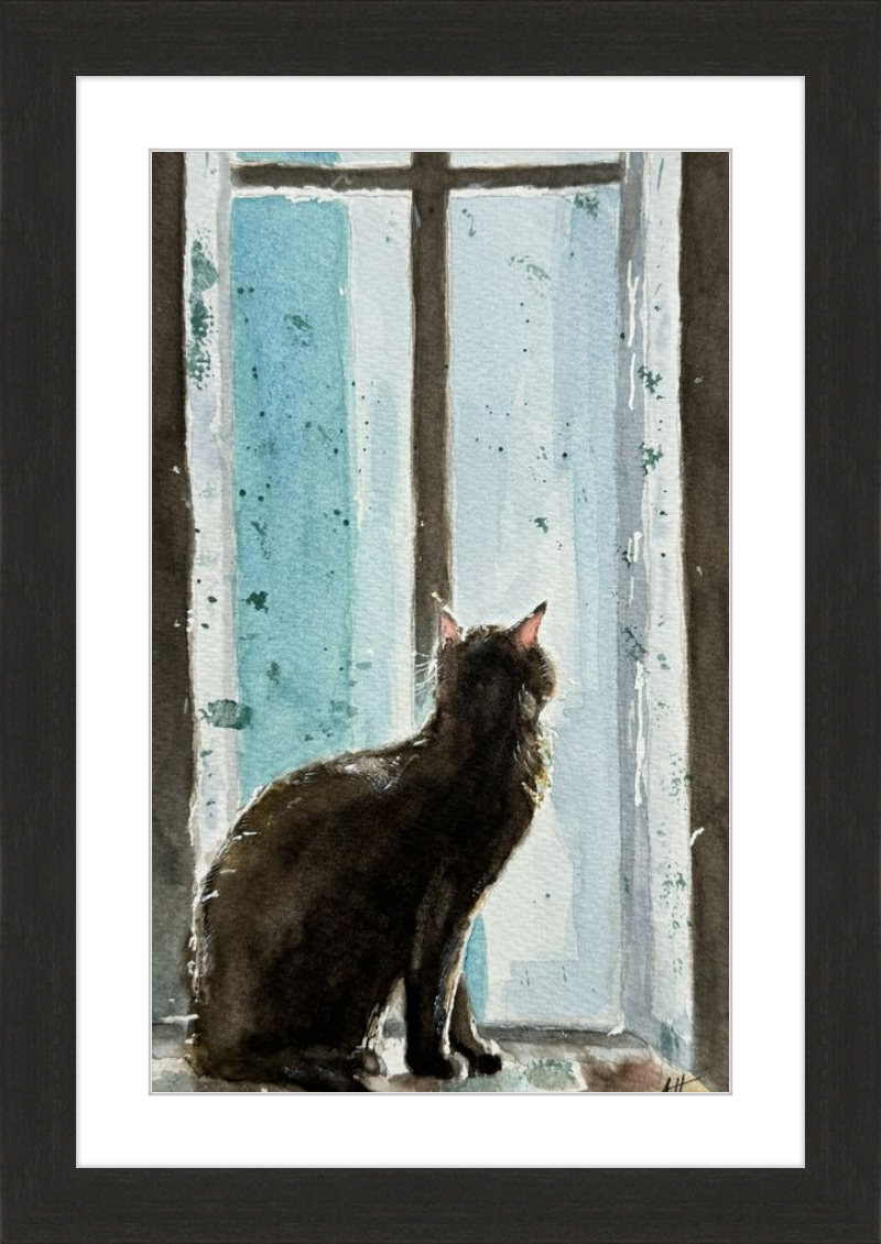Cat in Blue Window