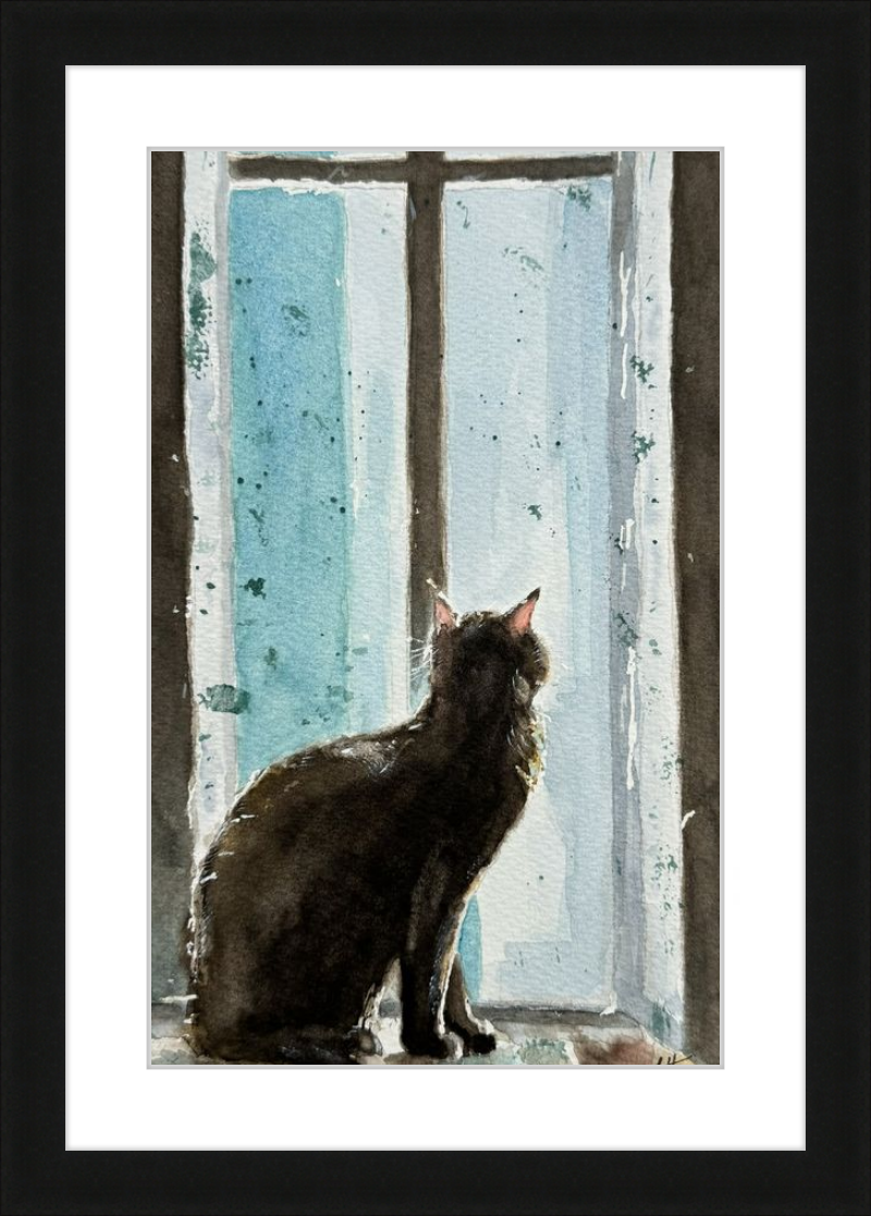 Cat in Blue Window