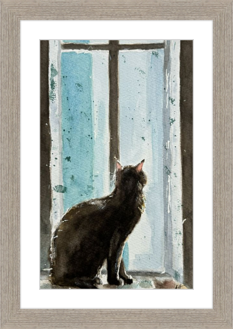 Cat in Blue Window