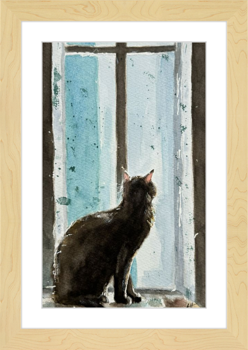 Cat in Blue Window